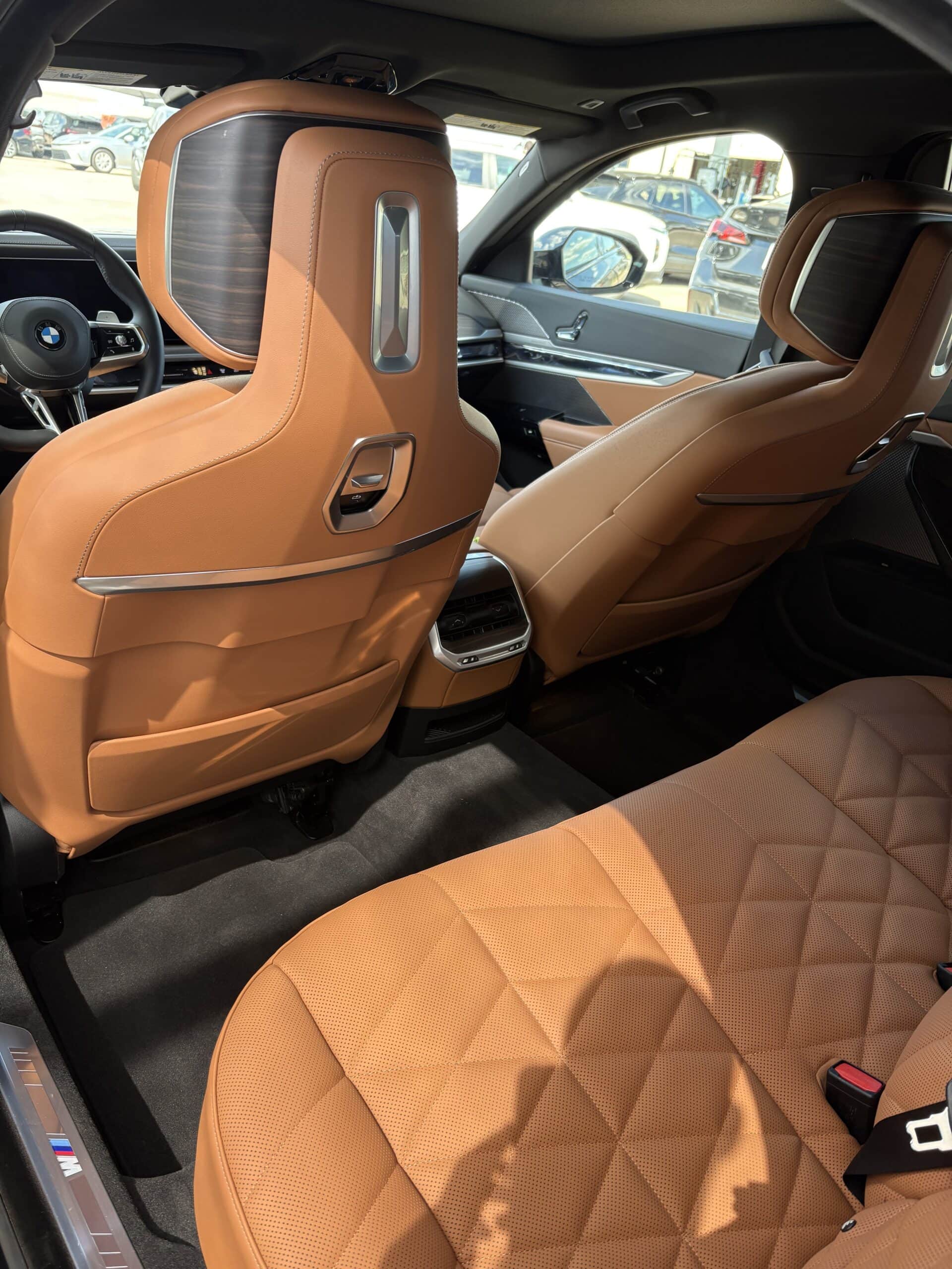 seat shampooing and leather conditioning