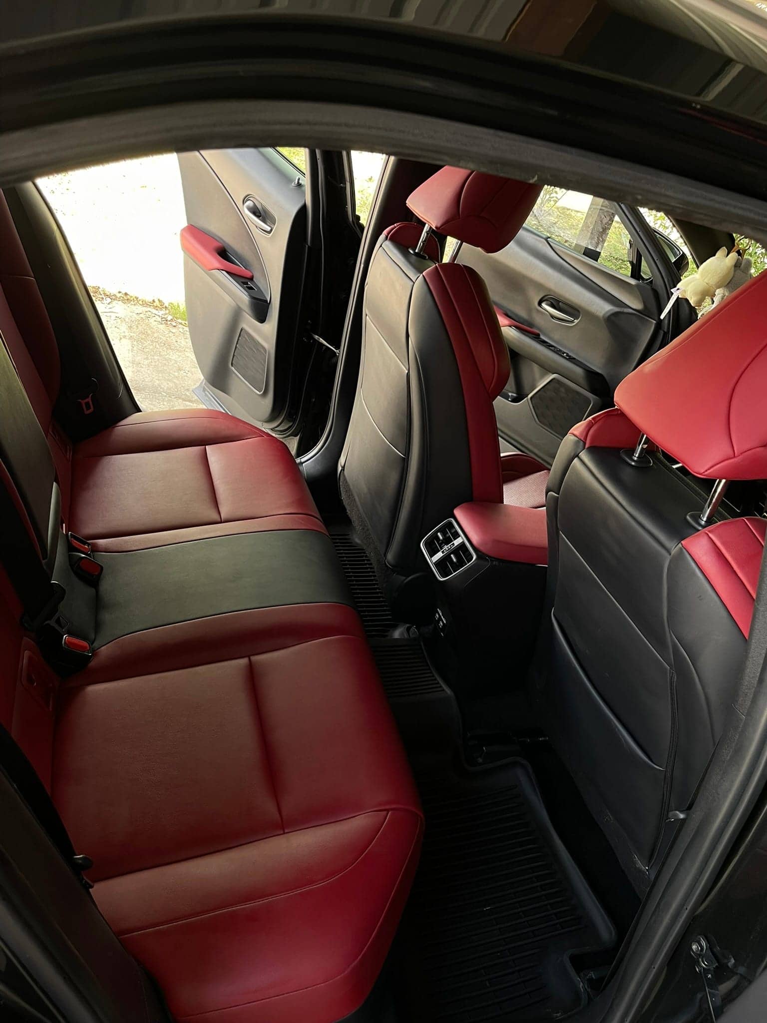 seat shampooing and leather conditioning